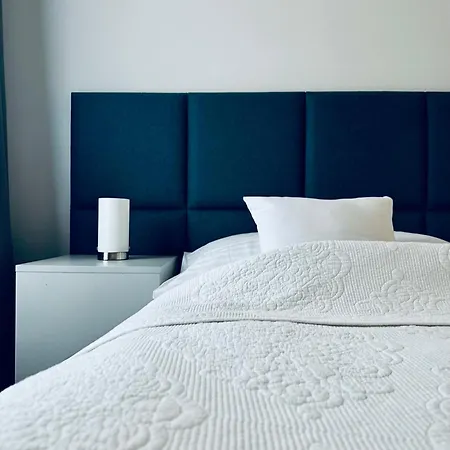 Alexander Library 科希策