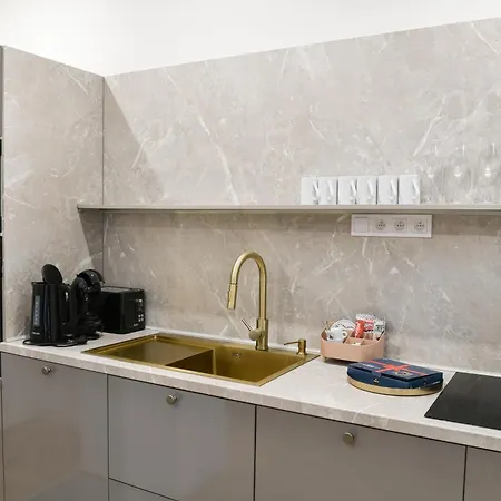 Alexander Library 公寓 科希策